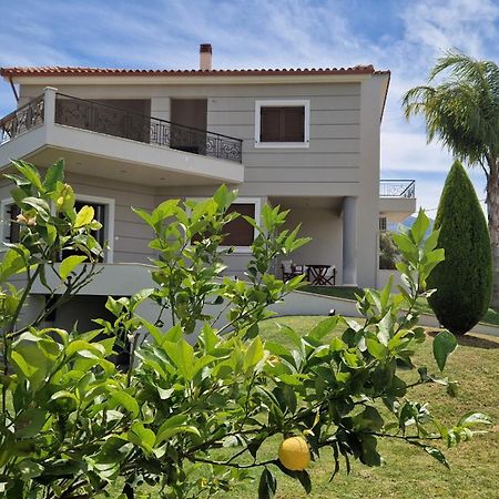 Dimitris Villa Aigio Exterior photo