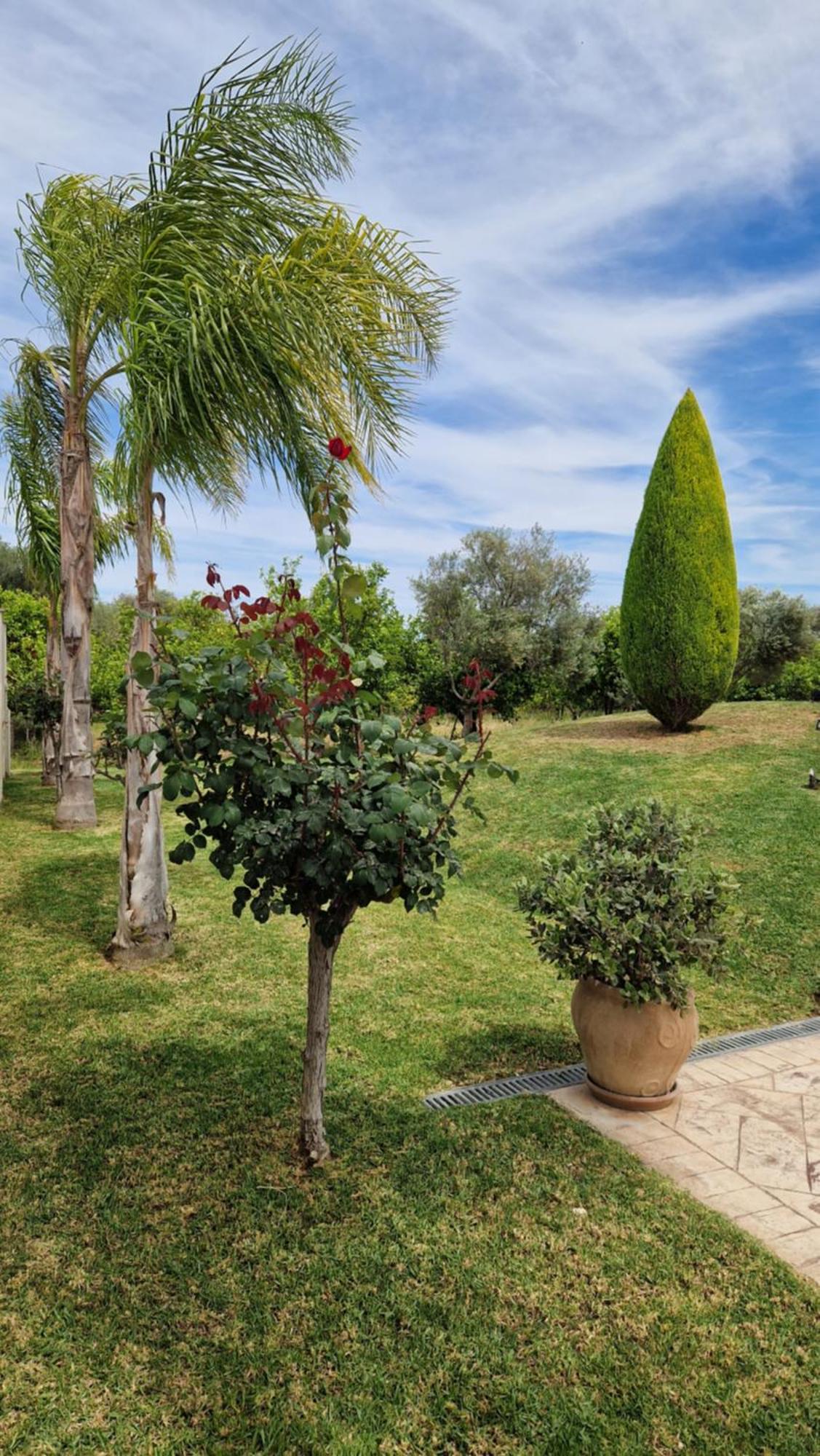 Dimitris Villa Aigio Exterior photo